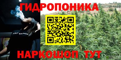 меф Шелехов
